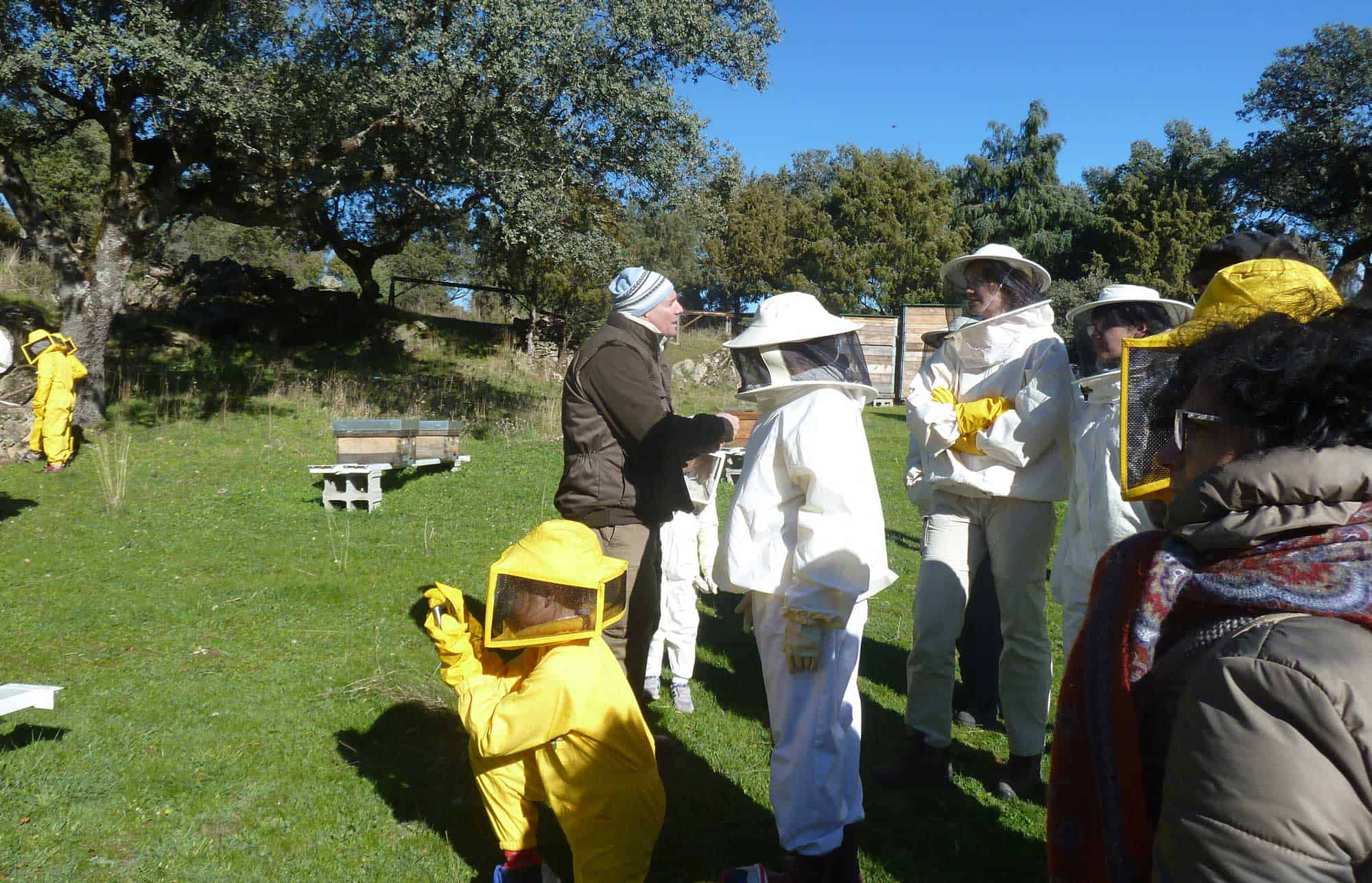 actividades-colmenar